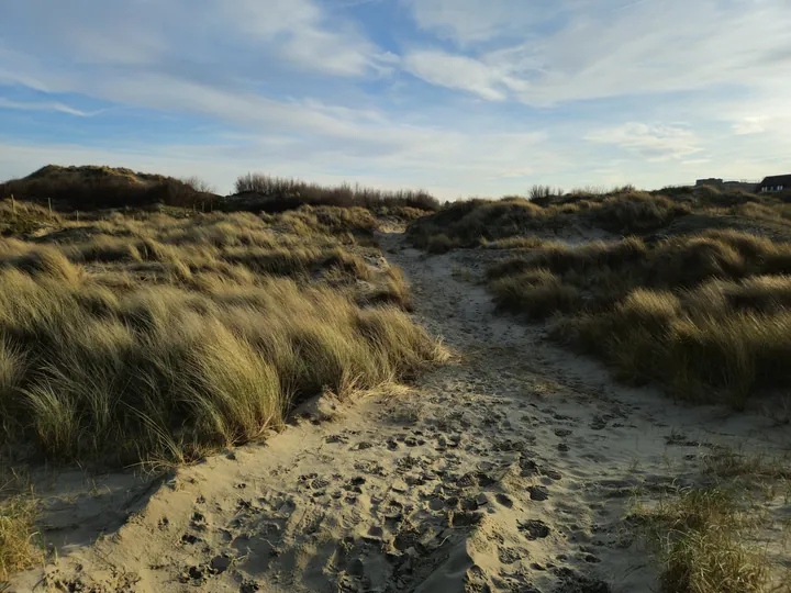 Oostnieuwkerke duinen wandeling in de koude (België)